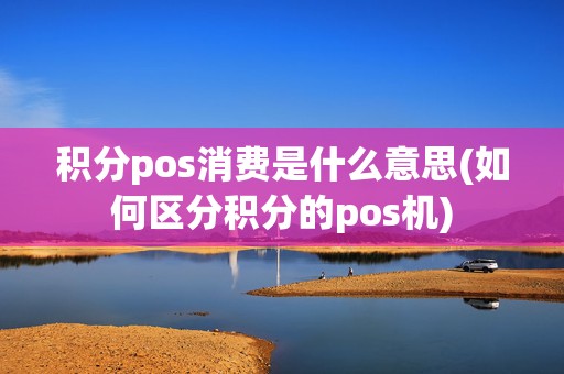 积分pos消费是什么意思(如何区分积分的pos机)
