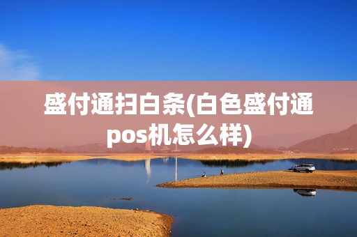 盛付通扫白条(白色盛付通pos机怎么样)