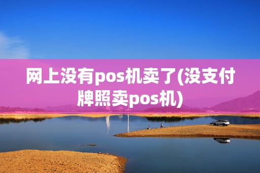网上没有pos机卖了(没支付牌照卖pos机)
