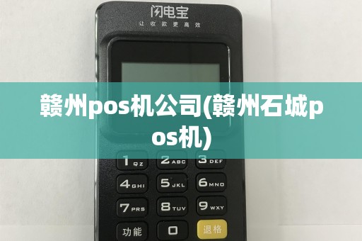 赣州pos机公司(赣州石城pos机)