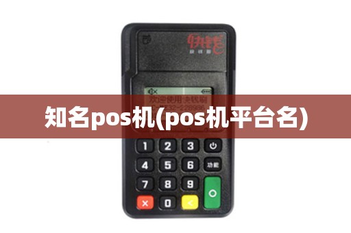 知名pos机(pos机平台名)