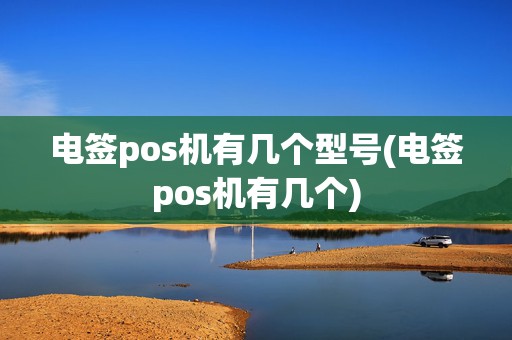 电签pos机有几个型号(电签pos机有几个)