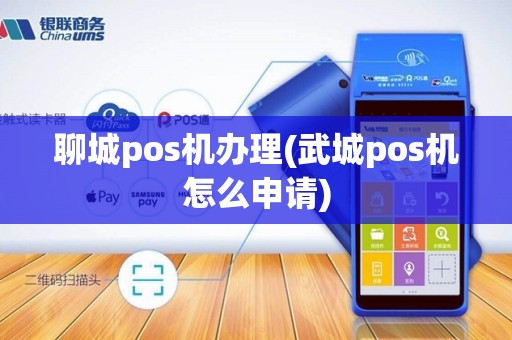 聊城pos机办理(武城pos机怎么申请)