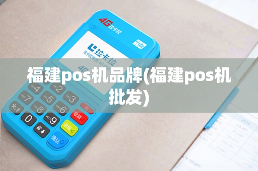 福建pos机品牌(福建pos机批发)