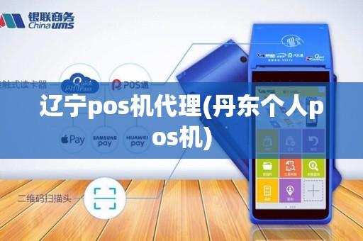 辽宁pos机代理(丹东个人pos机)