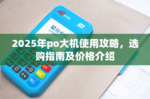2025年po大机使用攻略,选购指南及价格介绍