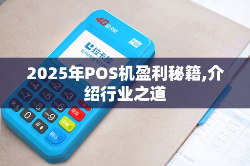 2025年POS机盈利秘籍,介绍行业之道