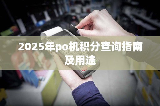2025年po机积分查询指南及用途