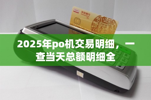 2025年po机交易明细,一查当天总额明细全