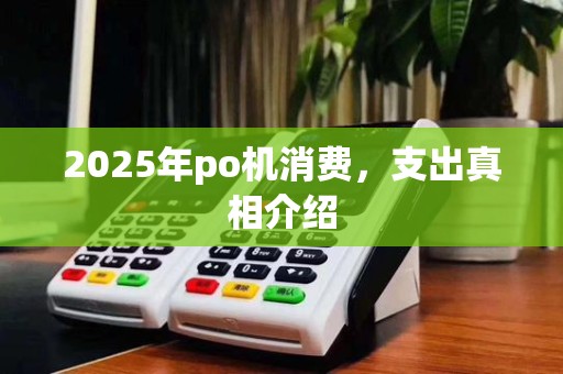 2025年po机消费,支出真相介绍