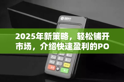 2025年新策略,轻松铺开市场,介绍快速盈利的POS机之道
