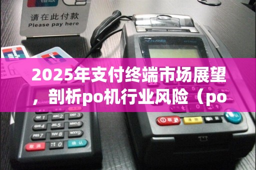 2025年支付终端市场展望,剖析po机行业风险(po机行业的威胁分析)