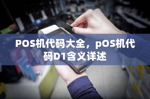 POS机代码大全,pOS机代码D1含义详述