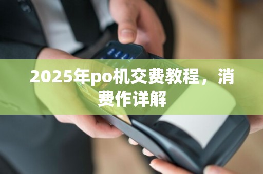 2025年po机交费教程,消费作详解