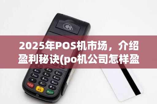 2025年POS机市场,介绍盈利秘诀(po机公司怎样盈利)