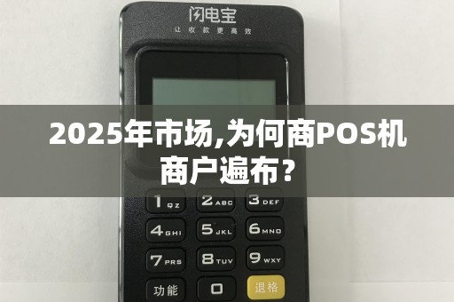 2025年市场,为何商POS机商户遍布?