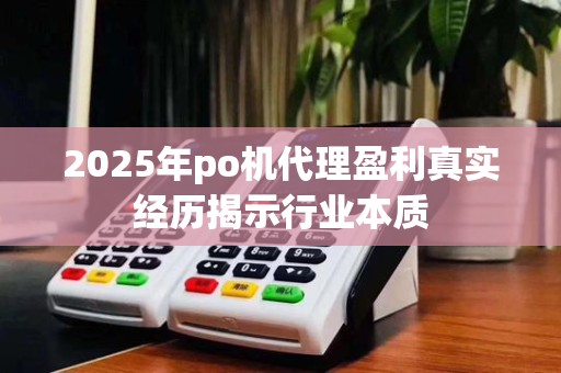 2025年po机代理盈利真实经历揭示行业本质