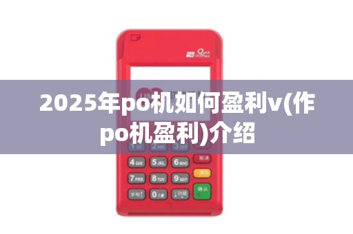 2025年po机如何盈利v(作po机盈利)介绍