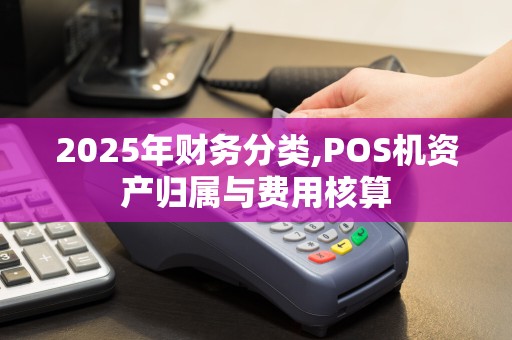 2025年财务分类,POS机资产归属与费用核算