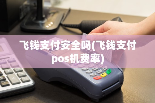 飞钱支付安全吗(飞钱支付pos机费率)