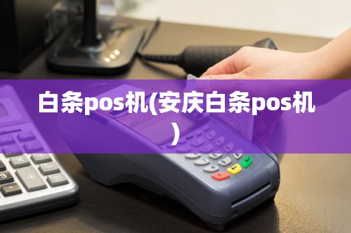 白条pos机(安庆白条pos机)