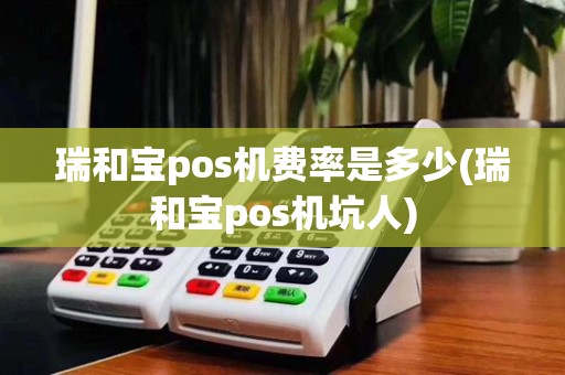 瑞和宝pos机费率是多少(瑞和宝pos机坑人)