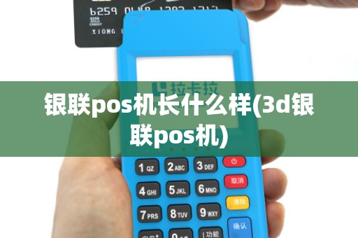 银联pos机长什么样(3d银联pos机)