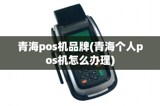 青海pos机品牌(青海个人pos机怎么办理)