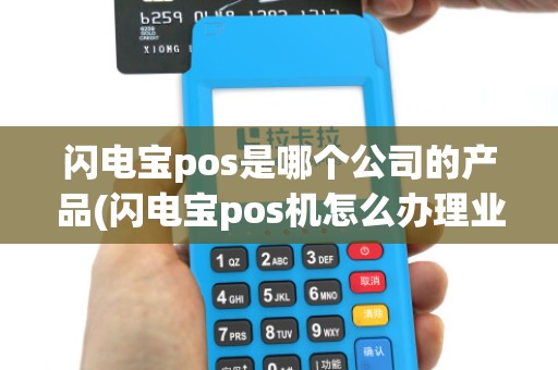 闪电宝pos是哪个公司的产品(闪电宝pos机怎么办理业务)