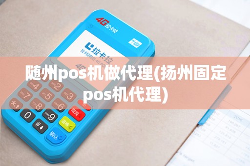 随州pos机做代理(扬州固定pos机代理)