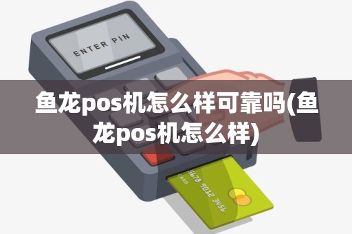 鱼龙pos机怎么样可靠吗(鱼龙pos机怎么样)