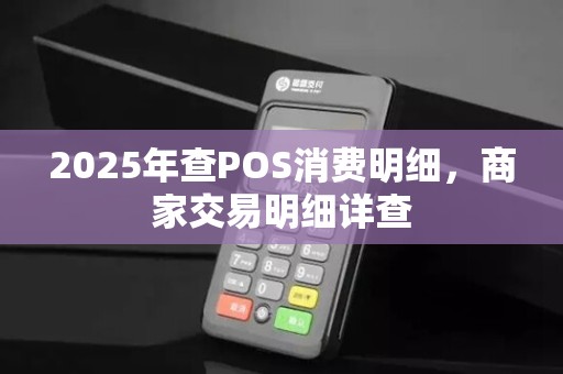 2025年查POS消费明细,商家交易明细详查