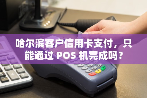 哈尔滨客户信用卡支付,只能通过 POS 机完成吗?