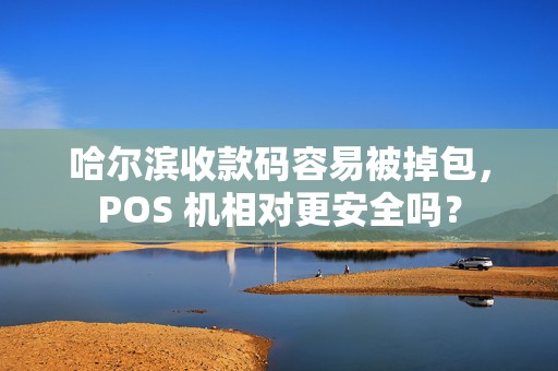 哈尔滨收款码容易被掉包,POS 机相对更安全吗?
