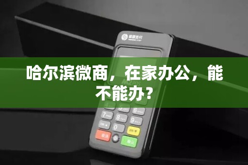 哈尔滨微商,在家办公,能不能办?