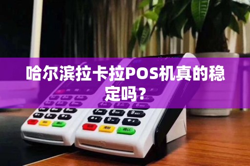 哈尔滨拉卡拉POS机真的稳定吗?