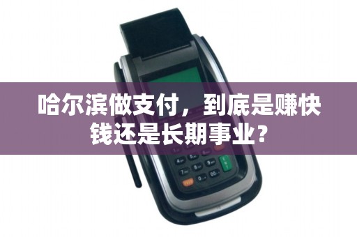 哈尔滨做支付,到底是赚快钱还是长期事业?