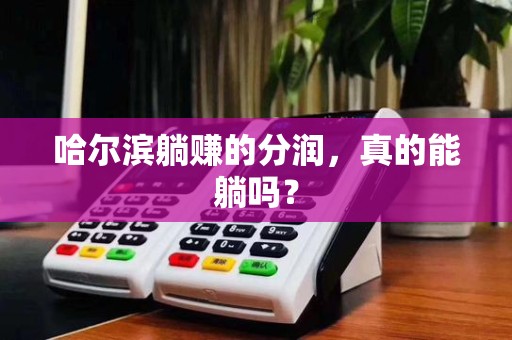 哈尔滨躺赚的分润,真的能躺吗?
