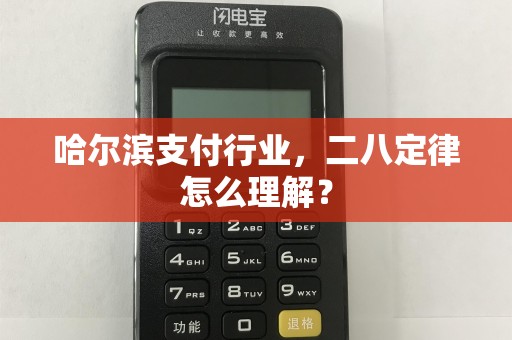 哈尔滨支付行业,二八定律怎么理解?