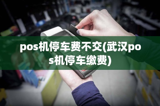 pos机停车费不交(武汉pos机停车缴费)