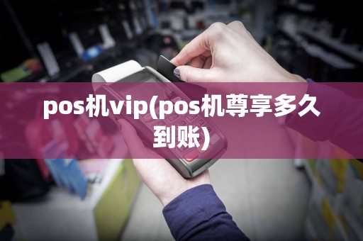 pos机vip(pos机尊享多久到账)