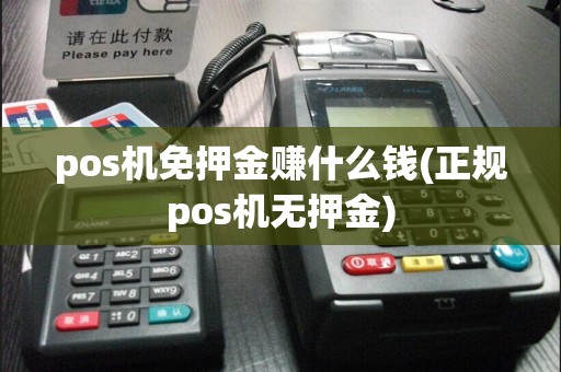 pos机免押金赚什么钱(正规pos机无押金)