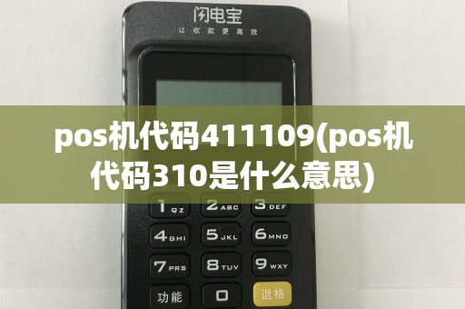 pos机代码411109(pos机代码310是什么意思)