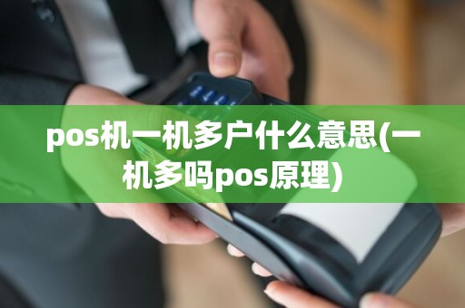 pos机一机多户什么意思(一机多吗pos原理)