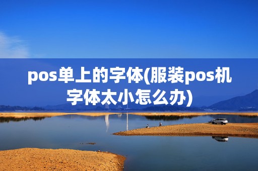 pos单上的字体(服装pos机字体太小怎么办)