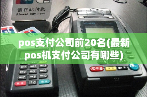 pos支付公司前20名(最新pos机支付公司有哪些)