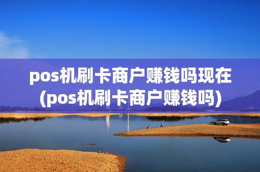 pos机刷卡商户赚钱吗现在(pos机刷卡商户赚钱吗)