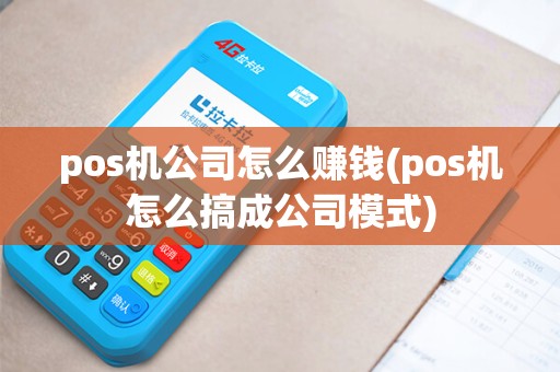 pos机公司怎么赚钱(pos机怎么搞成公司模式)