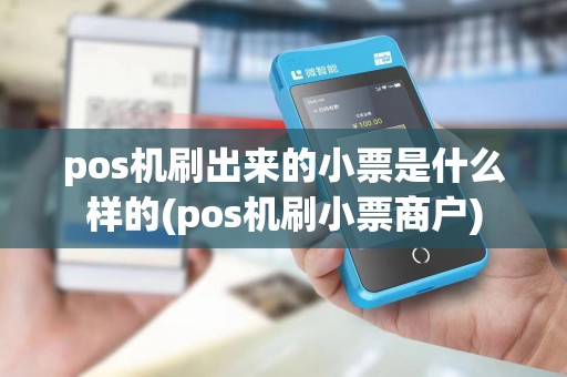 pos机刷出来的小票是什么样的(pos机刷小票商户)