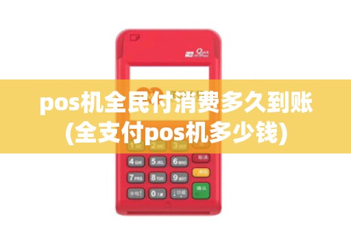 pos机全民付消费多久到账(全支付pos机多少钱)